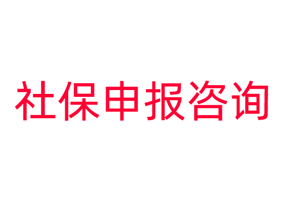 社保申报咨询