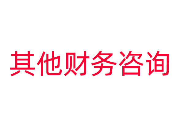 其他财务咨询