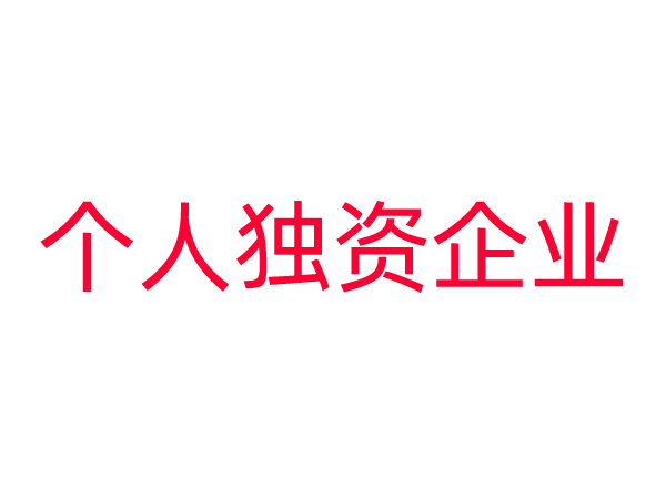 个人独资企业